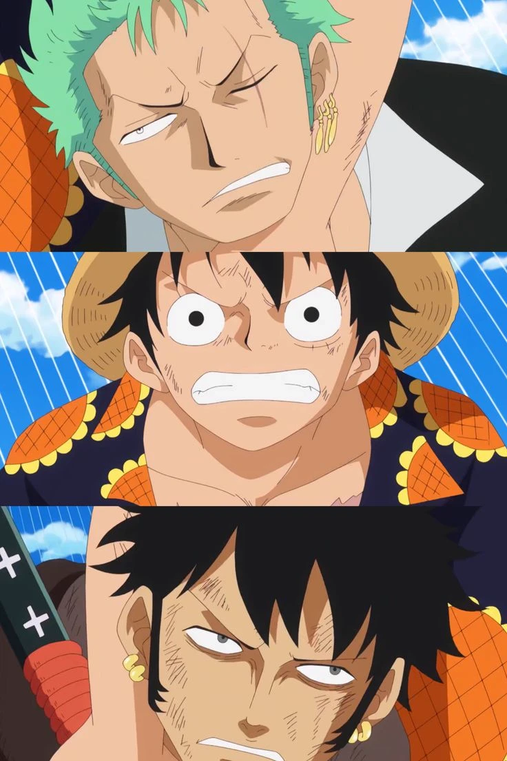 Law, Zoro and Luffy thumbnail