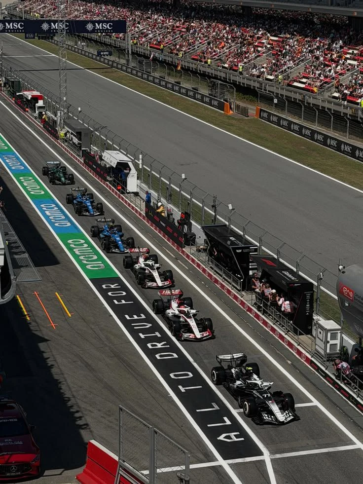 Formula 1 pick me thumbnail