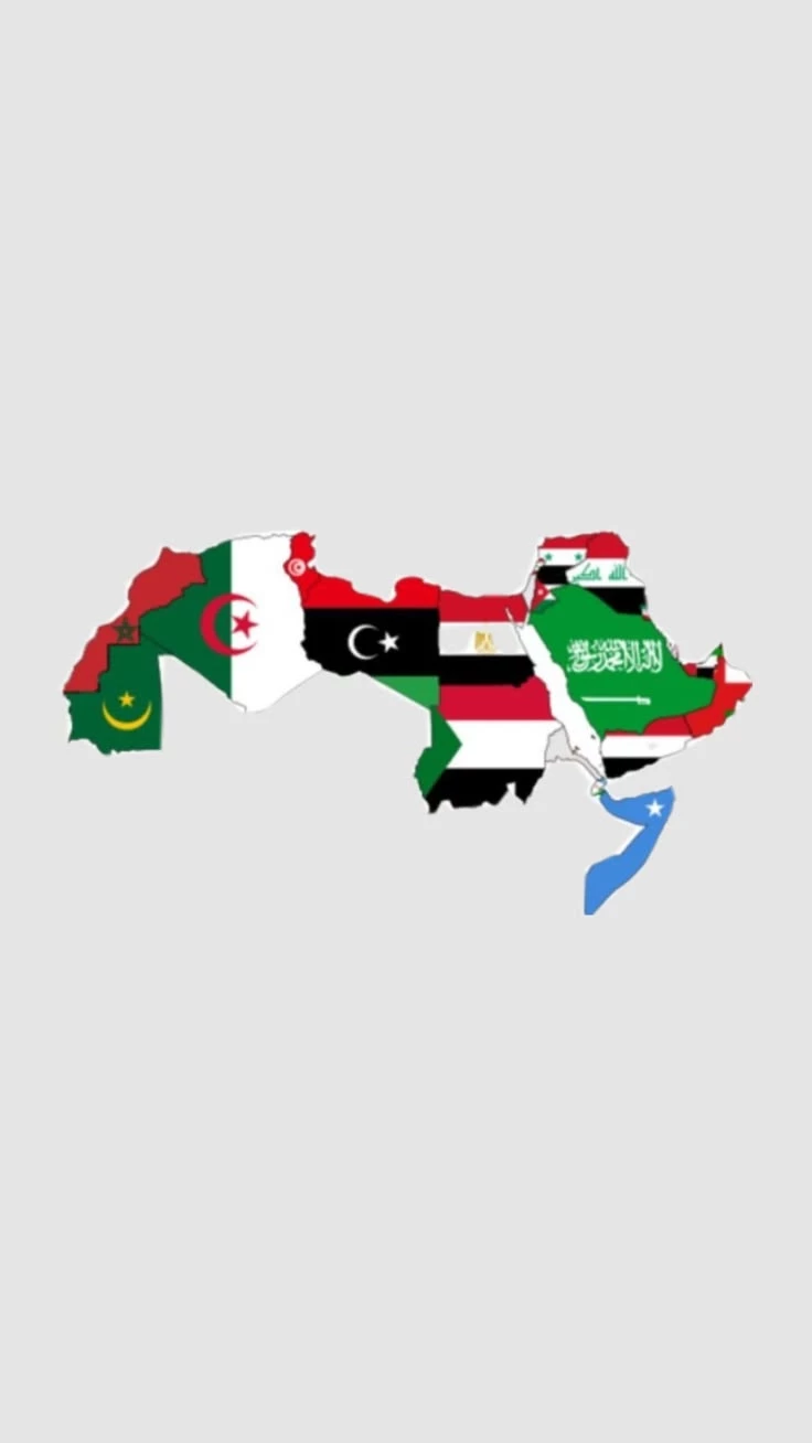🌍 Simulation of Arab countries thumbnail