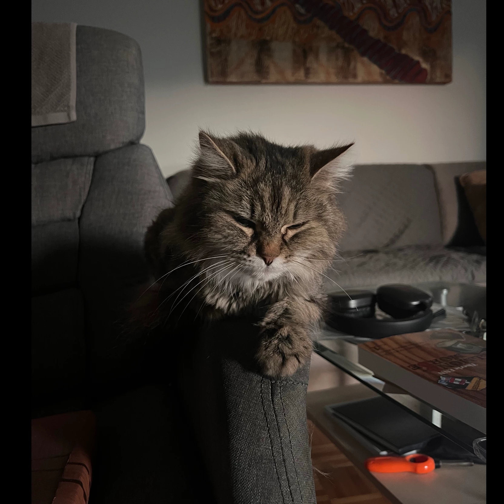 OLLIE