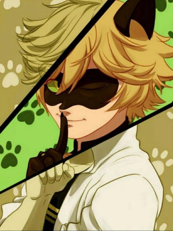 🌃adrien agreste 🐈‍⬛ (black cat) thumbnail