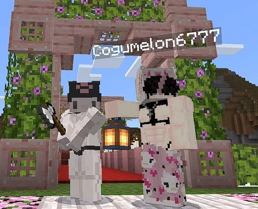 ⛏️💚 Cogumelon677 thumbnail