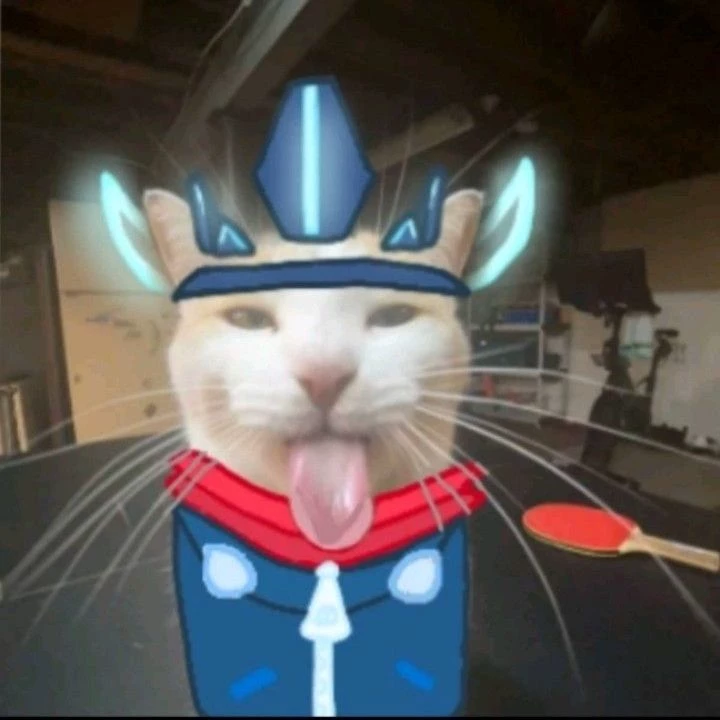 Jonn's kitten thumbnail