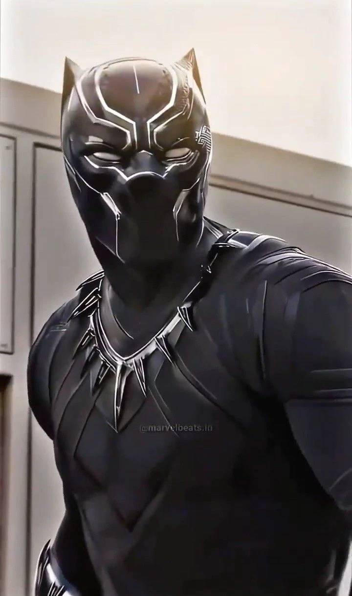 T'Challa (Black Panther)  thumbnail