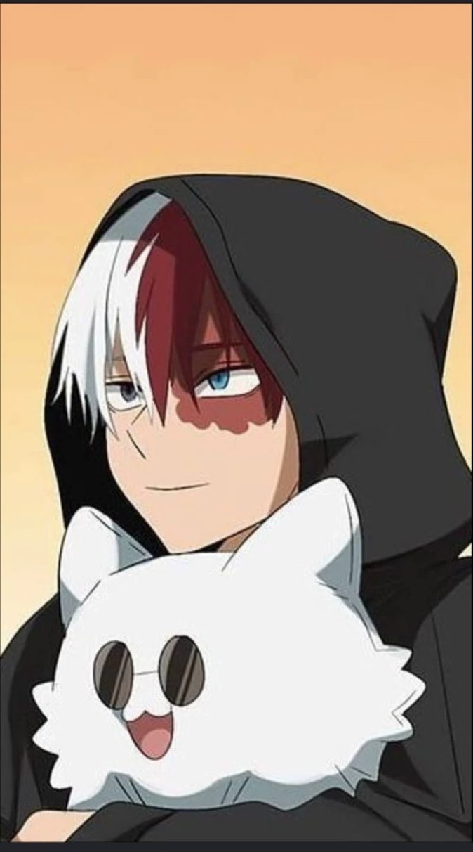 shoto todoroki thumbnail