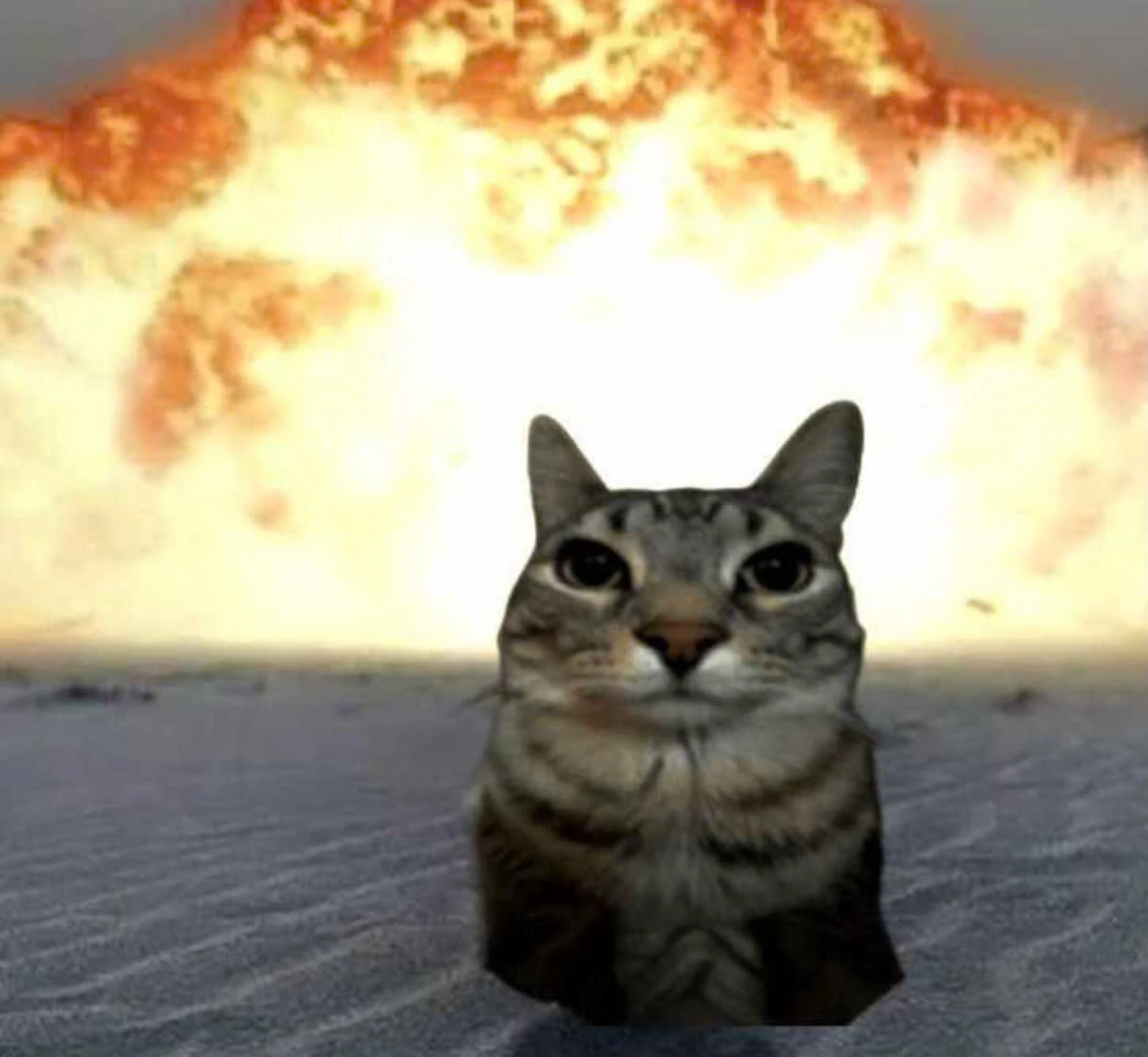 Meme thumbnail