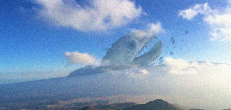 Behemoth thumbnail