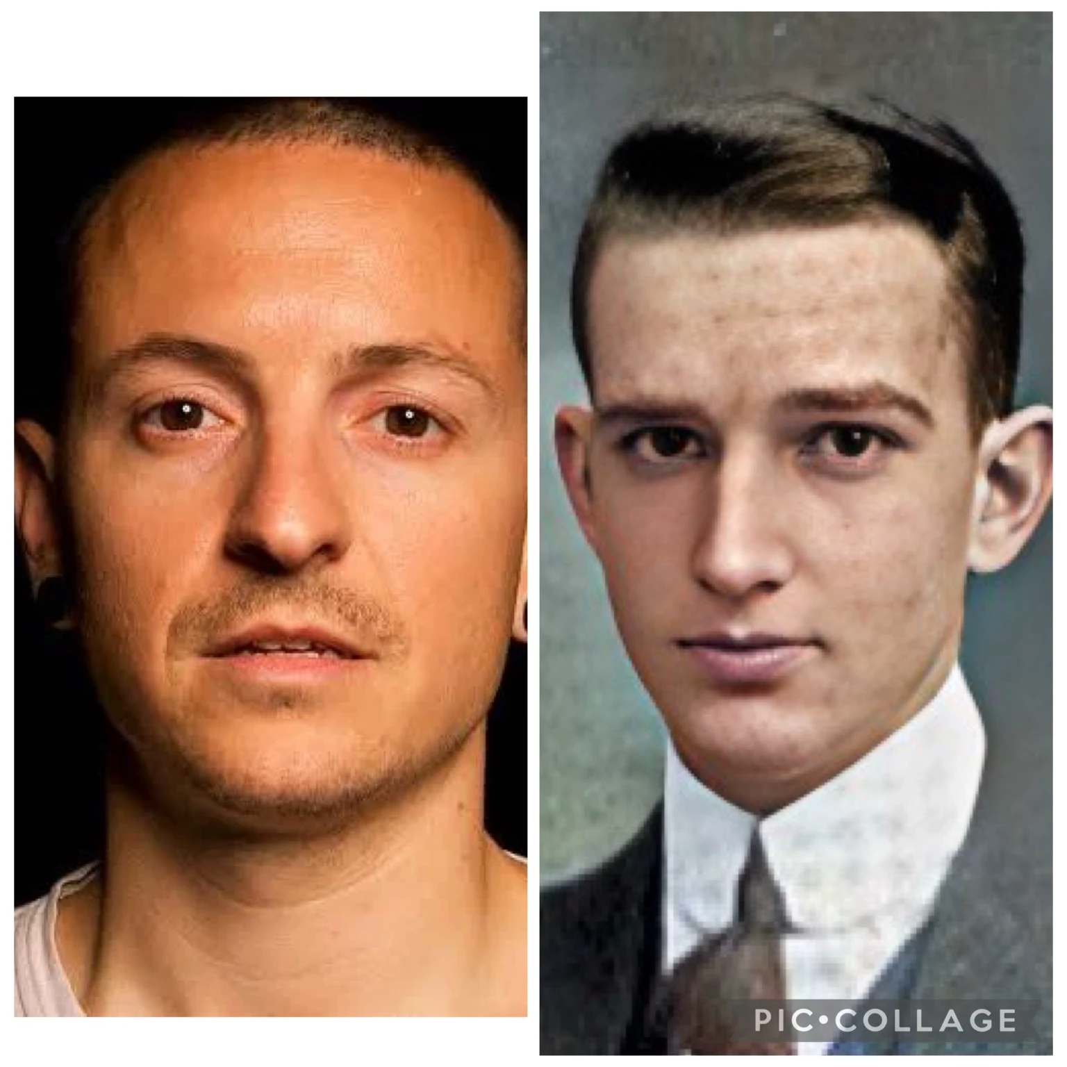 Chester and Jack thumbnail