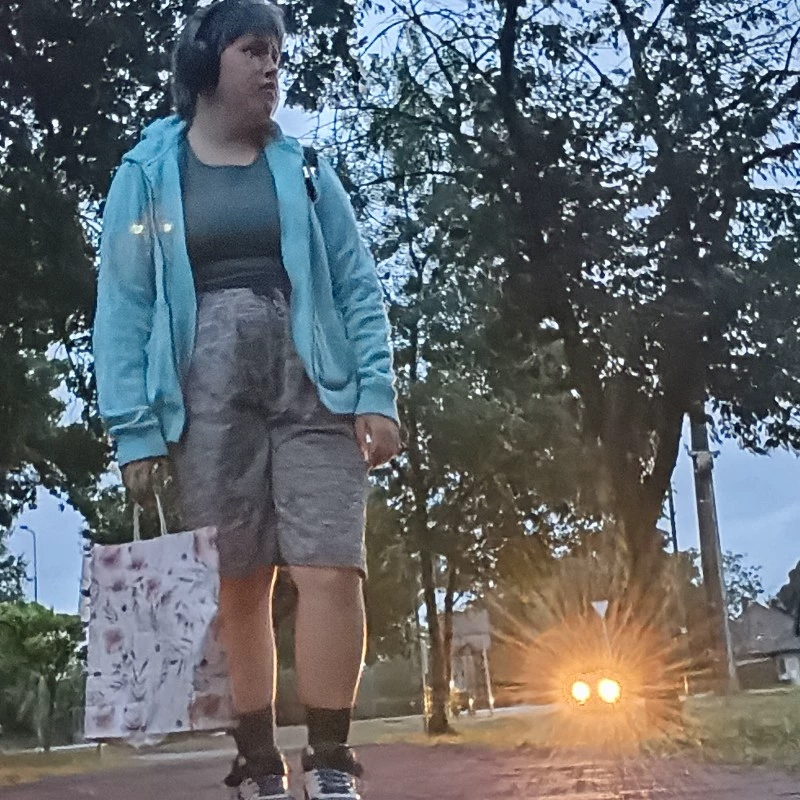Vica