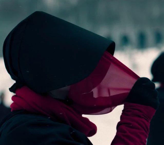 Assigned Handmaid thumbnail