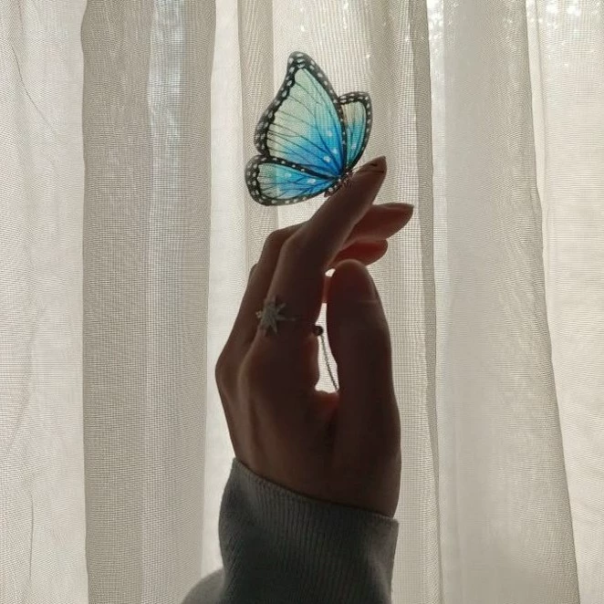 ᥴ᥆ᥴ᥆