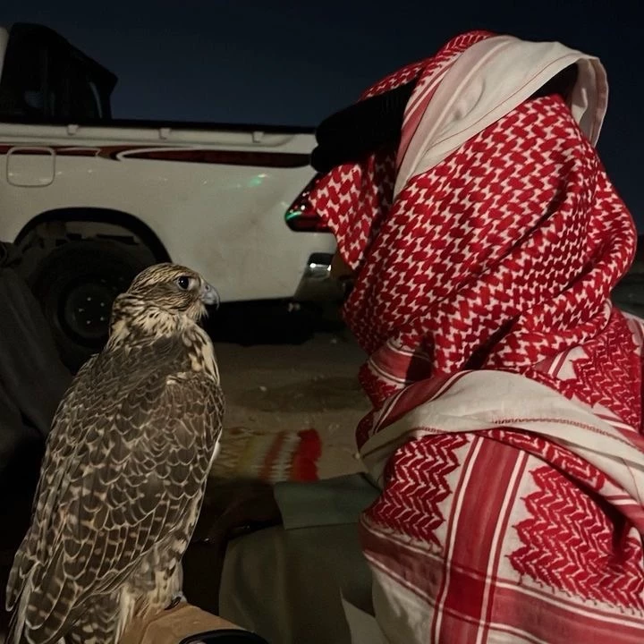 يوسف thumbnail