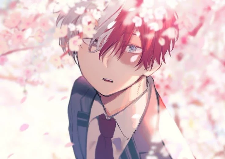 Shot Todoroki thumbnail