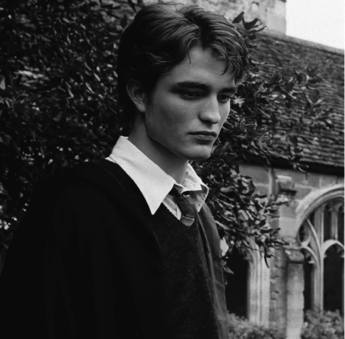 CEDRIC DIGGORY thumbnail
