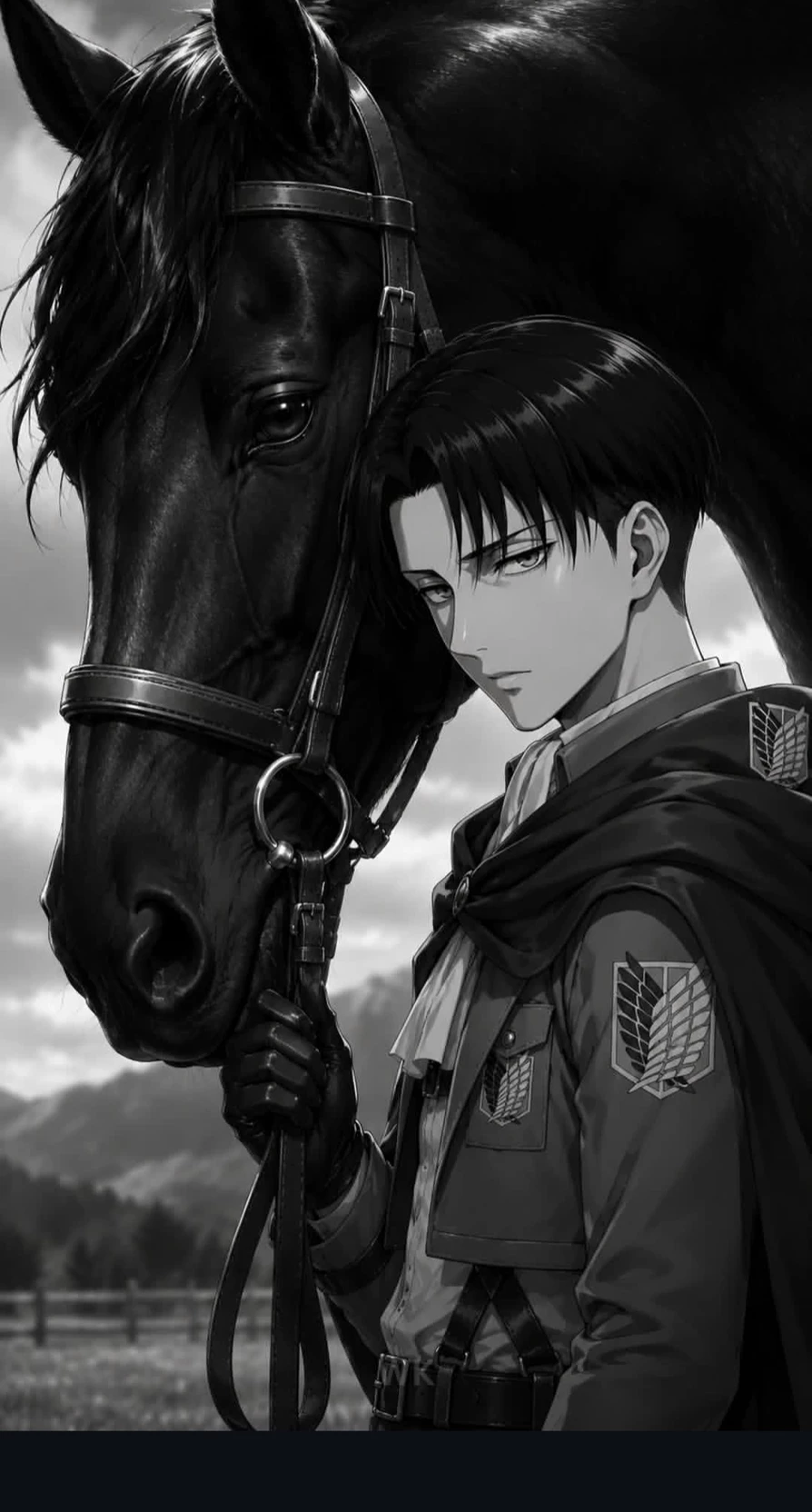 Levi Ackerman thumbnail