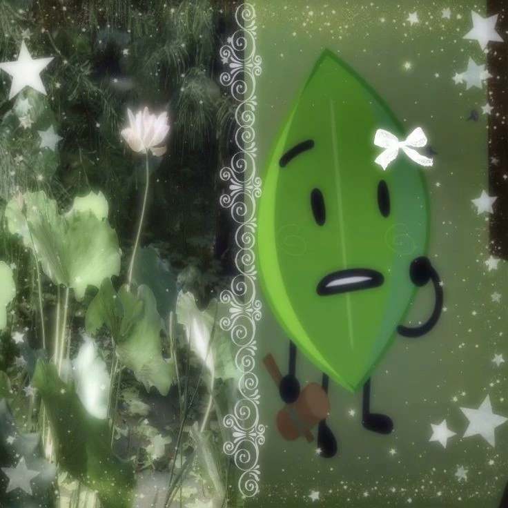 ৎ𝄢 ॱ۫  sketchy  ♡  leafy ݂ᣟ𓏼՞