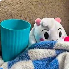 RalseiPlushFan_24