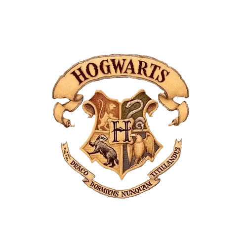 Hogwarts!- Harry potters twin thumbnail