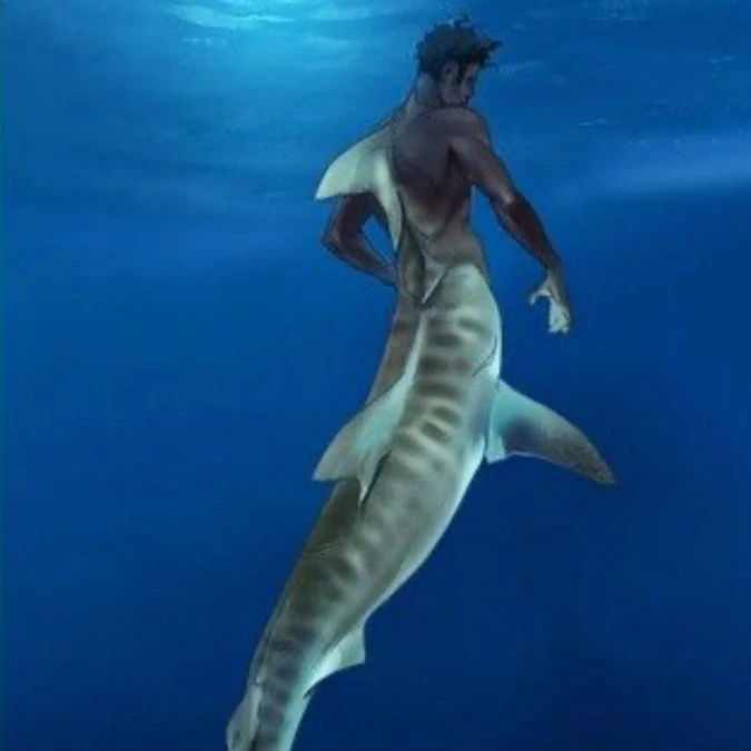 Koda the tiger shark thumbnail