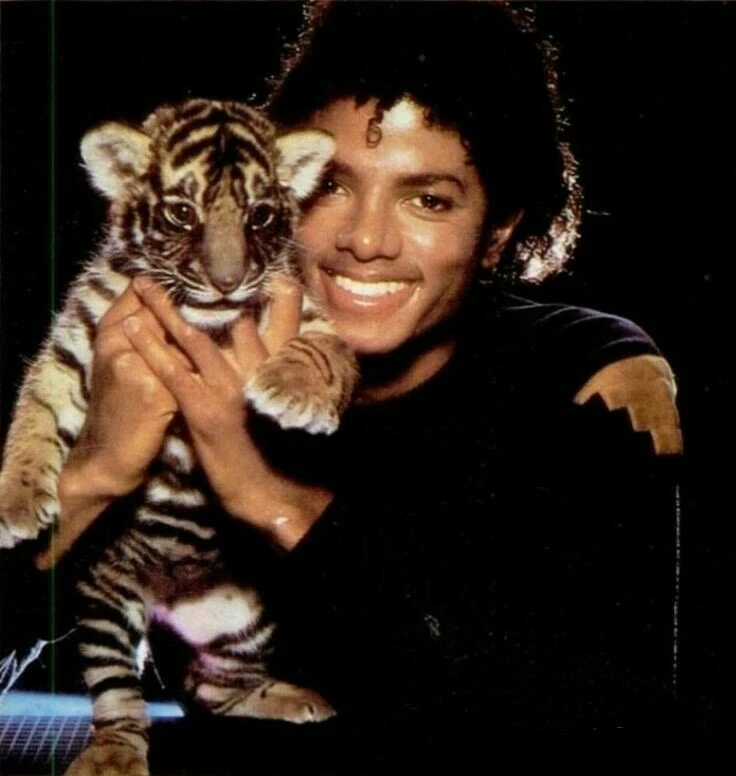 MICHEAL JACKSON thumbnail