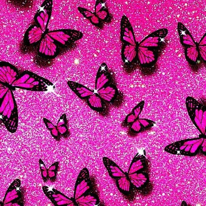 Butterfly Bella._34343434