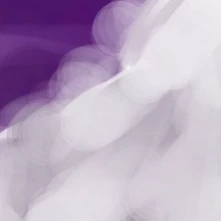 Reo