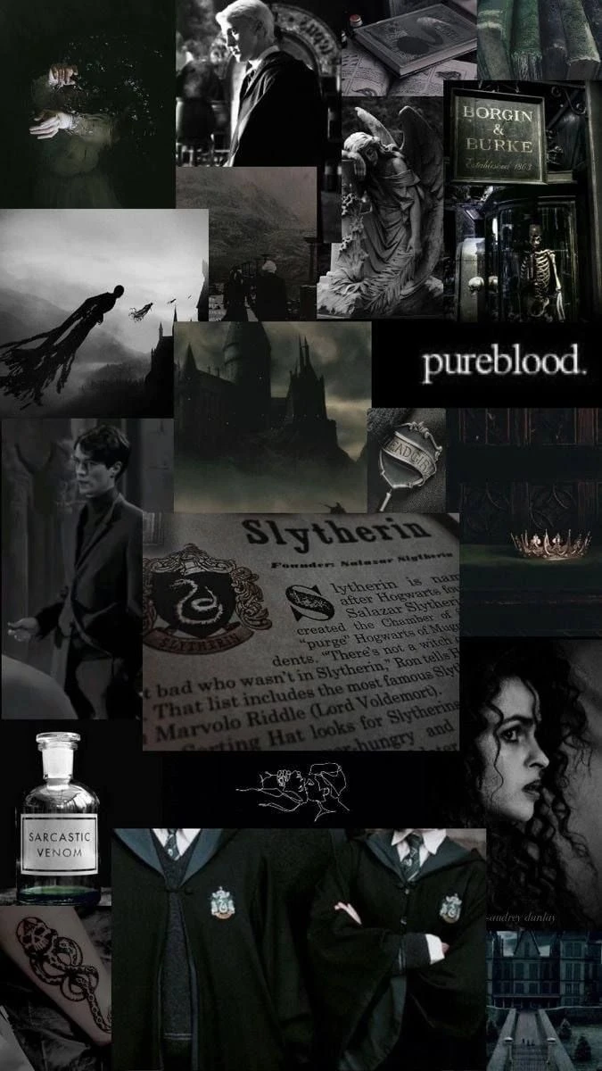 heir of Lord Voldemort thumbnail
