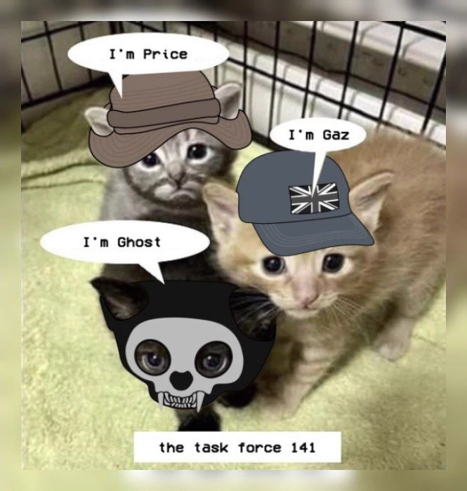 TF 141 thumbnail