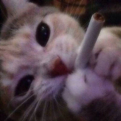 Ace