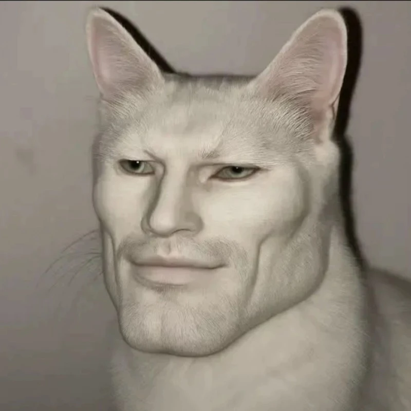 Gato Sigma