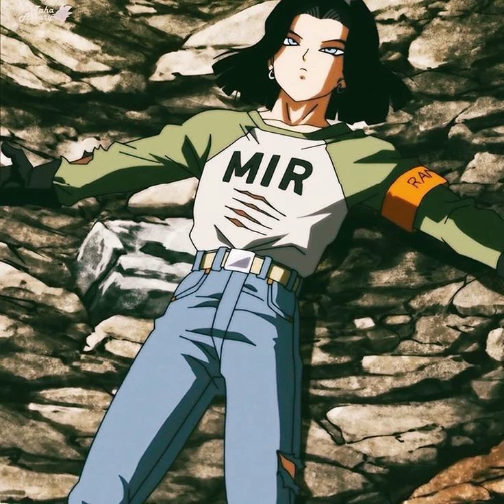 android 17 thumbnail