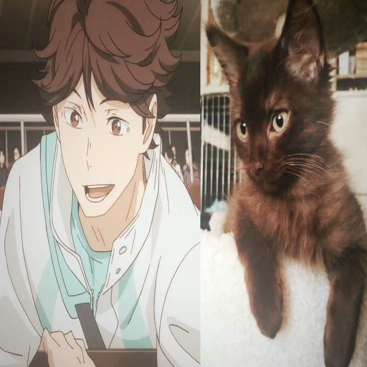 oikawa tooru رى thumbnail