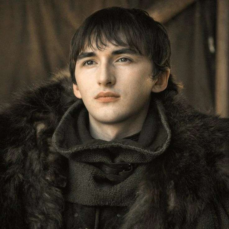 Brandon Stark thumbnail