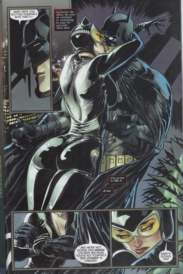 Bruce Wayne and Selina Kyle thumbnail