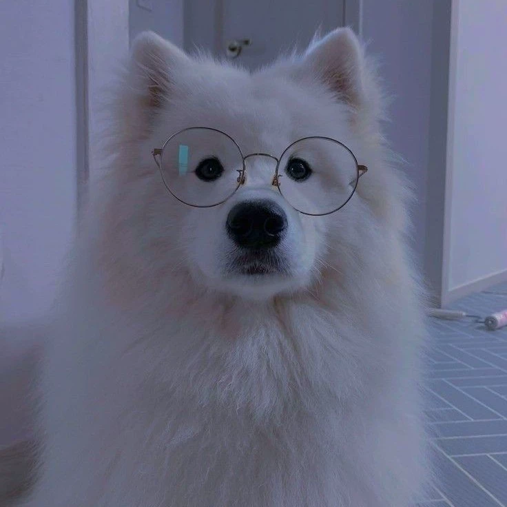 🍋‍🟩Neville🍋‍🟩