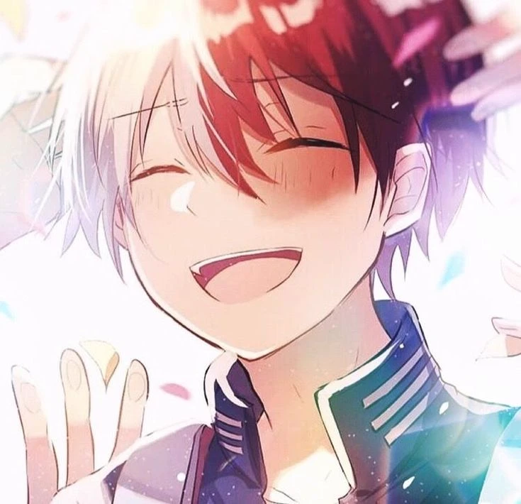 Shoto Todoroki thumbnail
