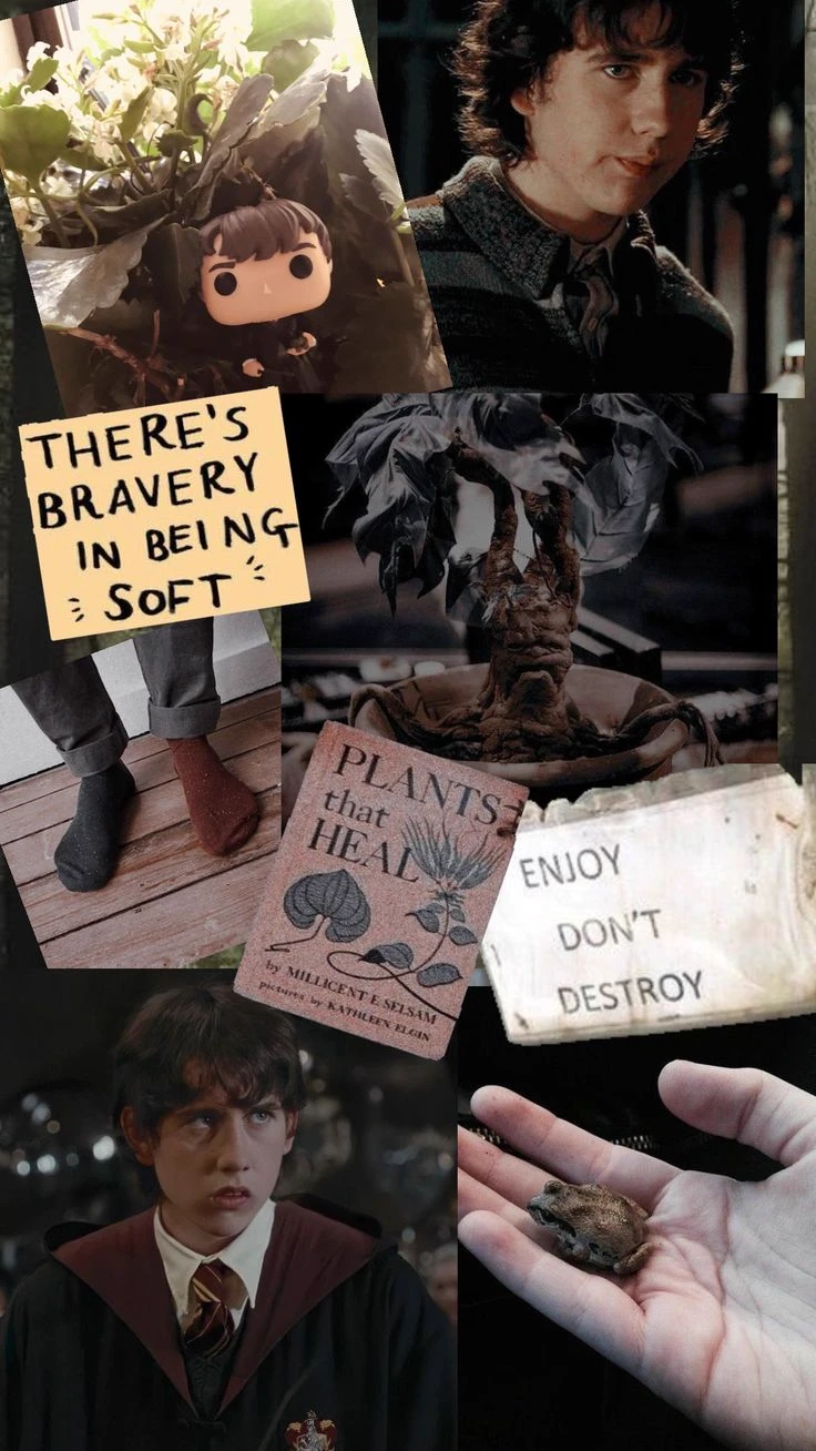 Neville Longbottom thumbnail