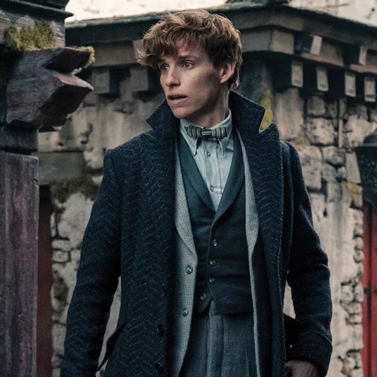 Newt Scamander thumbnail