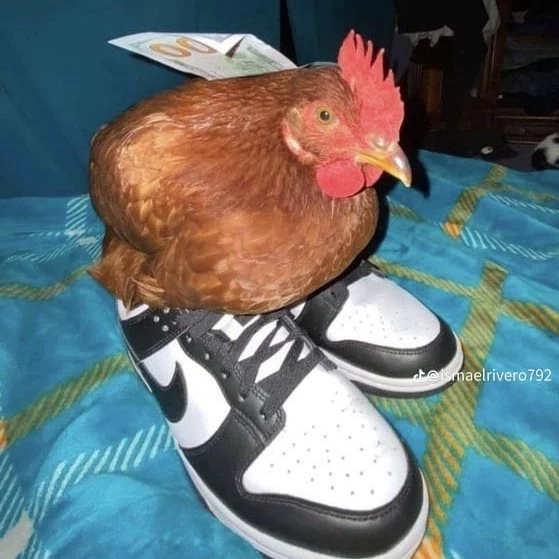 CØŦŦƐ