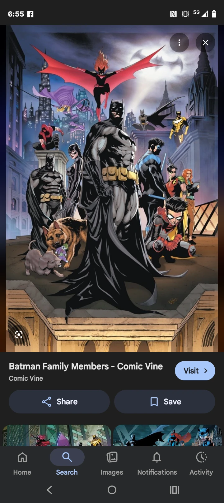 Bat-family  thumbnail