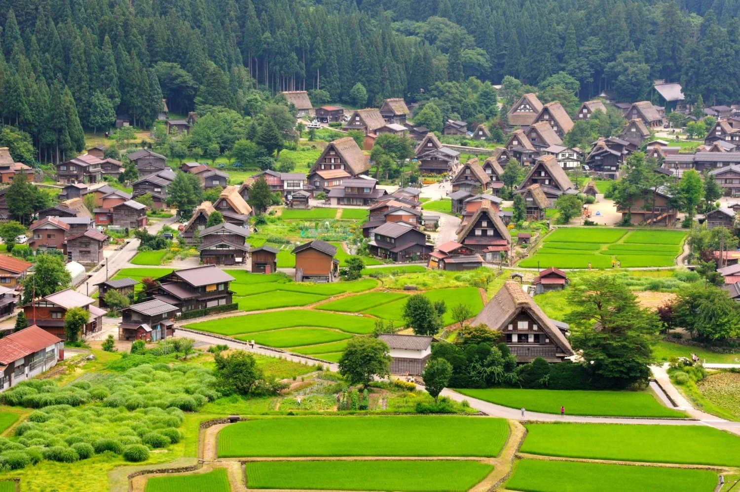 An Unknown Village thumbnail