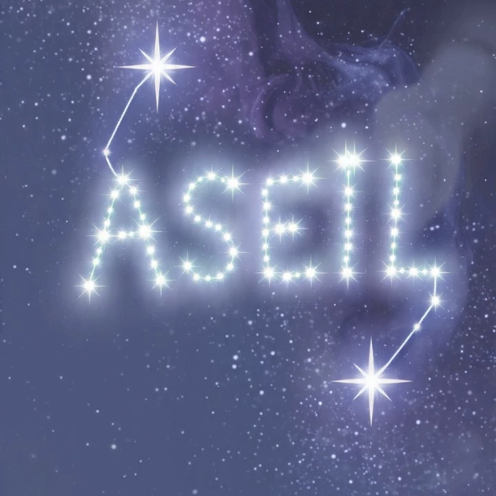 ASEILYA