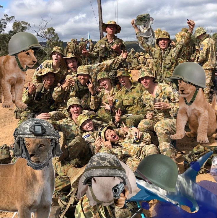 ST GC thumbnail