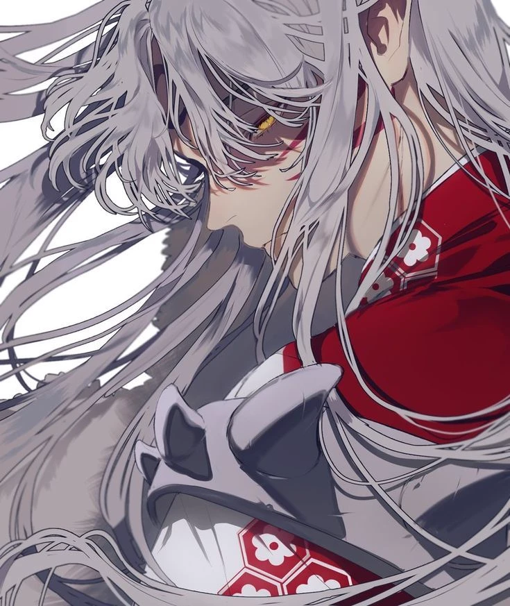 Sesshoumaru - sama thumbnail