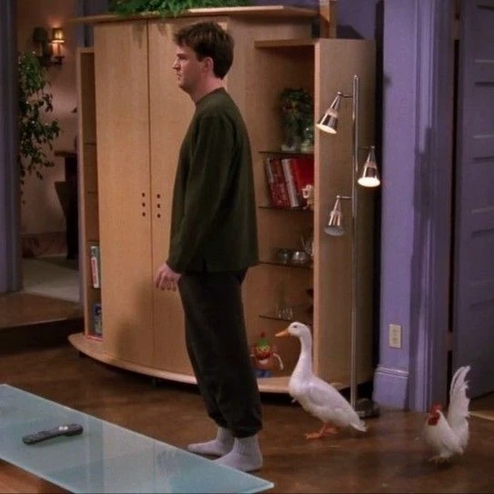 Chandler Bing thumbnail