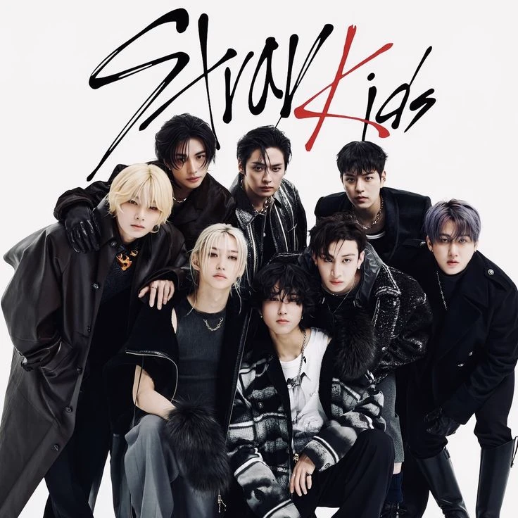 °•★stray kids★•° thumbnail