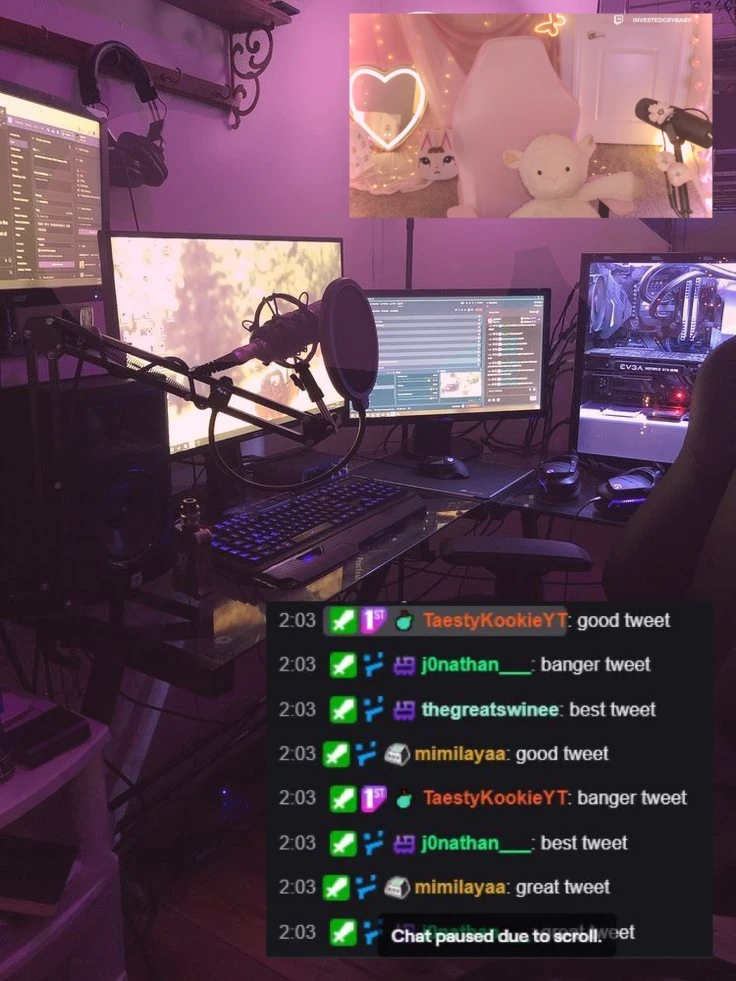You are a Streamer thumbnail