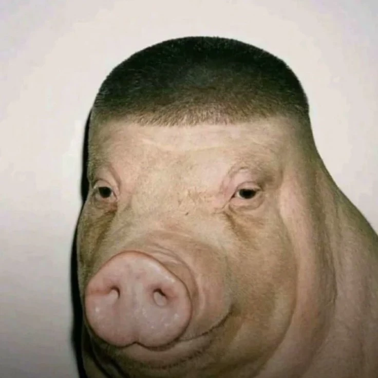 Placek