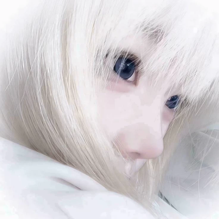 Mizuki Akishiko