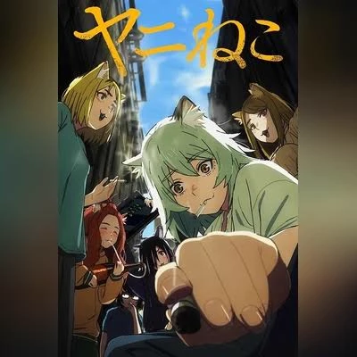 chainsmoker cat  thumbnail
